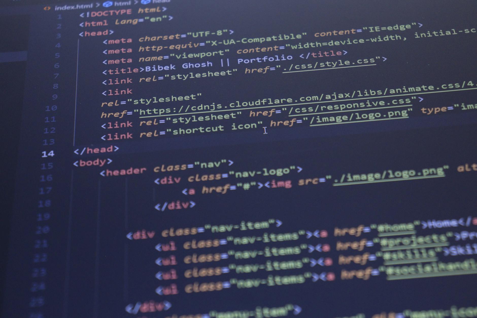 web development services